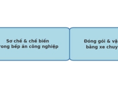 Quy Trình Cung Cấp Suất Ăn Công Nghiệp