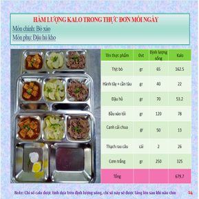 Khay mẫu 13 